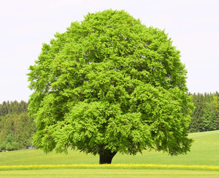 Posnetek zaslona 2025-07-24 102902